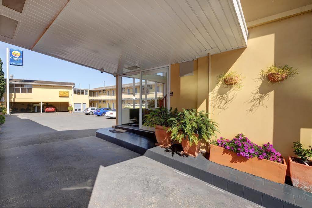 Comfort Inn North Shore Sydney Exterior foto